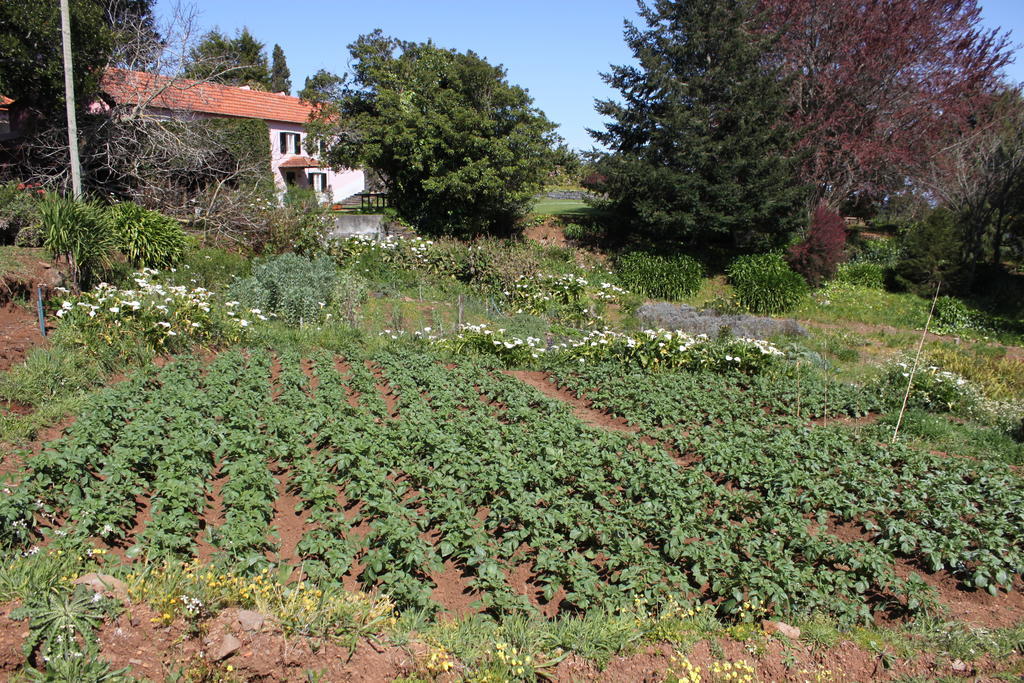 Quinta Das Faias 캐마차 외부 사진